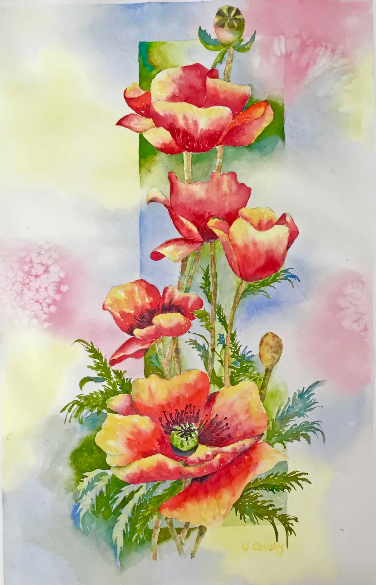 Poppies