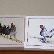 Drawing of Hens
