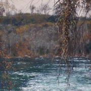 French Broad RIver #42