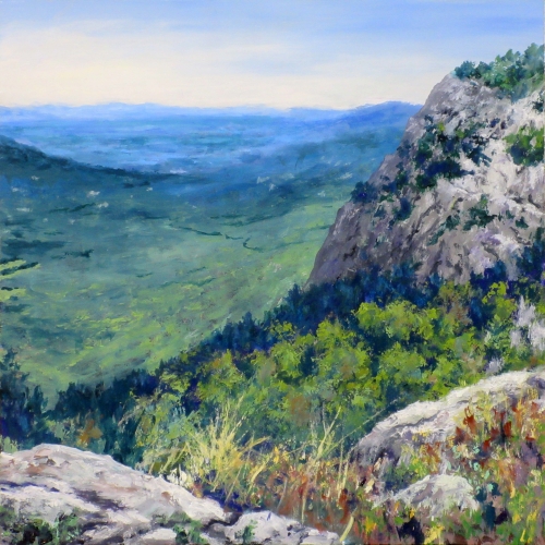 Grandfather Mountain View