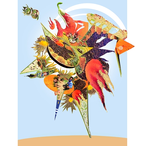 digital collage of Crista Terra from at Charlotte Earthday, includes people and several views to make a new collage form