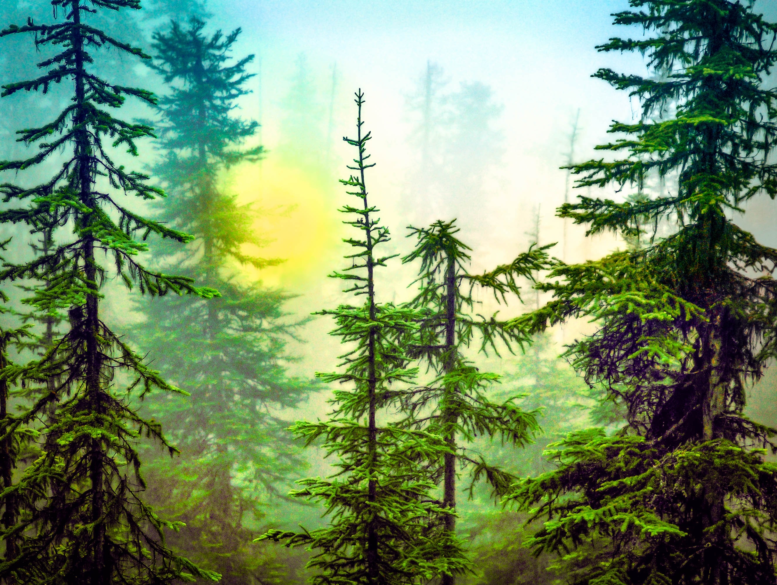 Evergreen Dusk 1.3mb