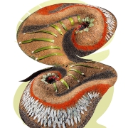 Terra form, two earth spirals covers in leaves and daisies.