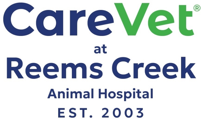 CareVetatReemsCreek-e1786645633865 Large